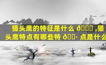 猫头鹰的特征是什么 🐈 ,猫头鹰特点有哪些特 🌷 点是什么